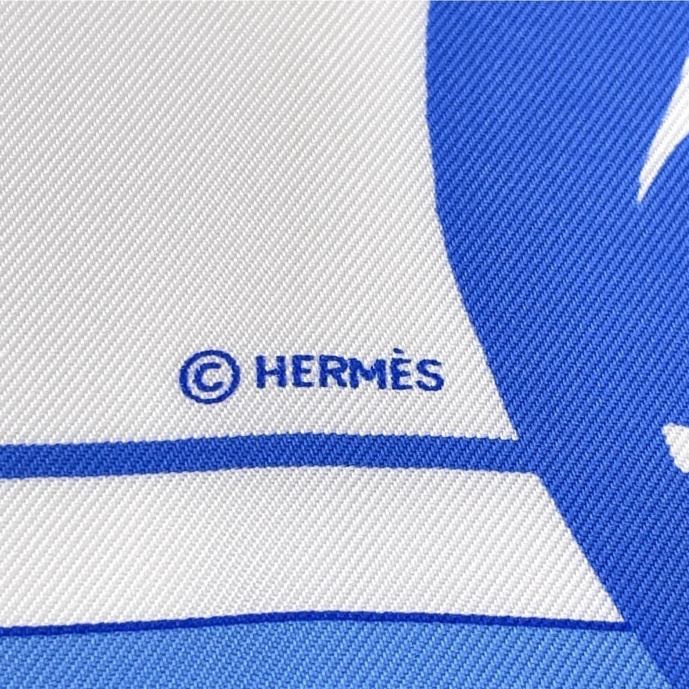 HERMES Limited Edition Rare Collectors Carre 90 “Vive Les Champions!” Silk Scarf - Picture 6 of 11